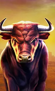 Black Bull