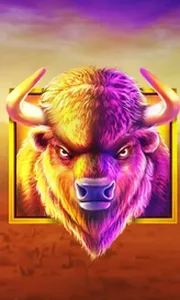 Buffalo King